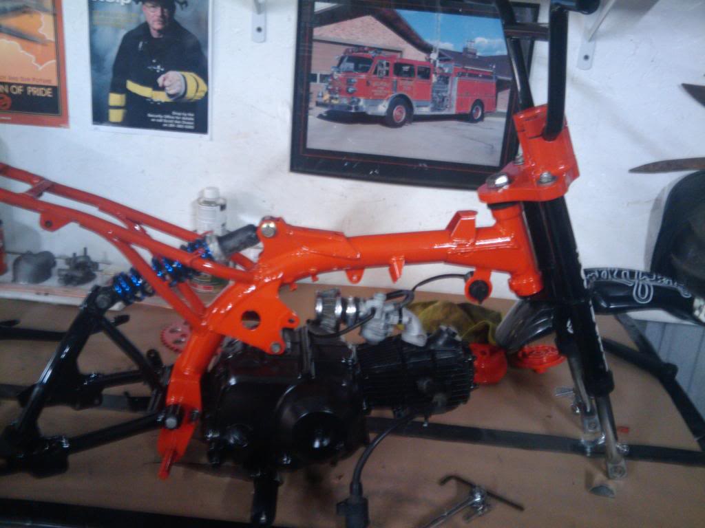 Name:  2010-01-10155141.jpg
Views: 165
Size:  124.6 KB