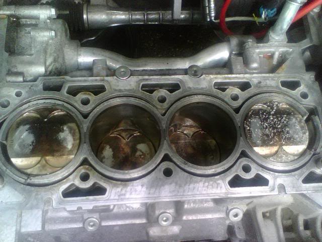 Name:  IMG00717.jpg
Views: 8
Size:  52.5 KB