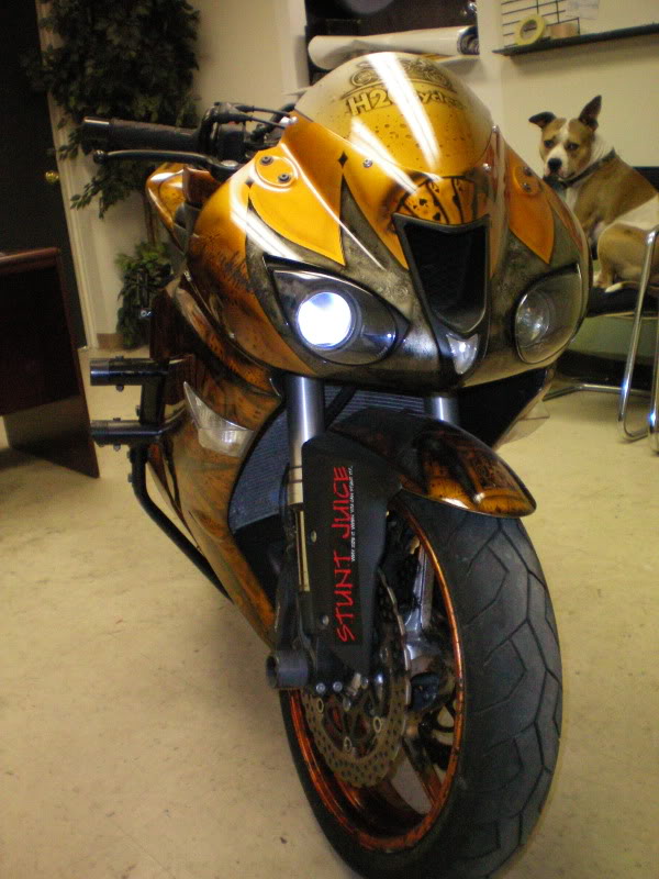 Name:  100_0048.jpg
Views: 20
Size:  142.3 KB