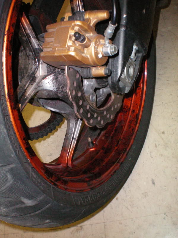 Name:  100_0047.jpg
Views: 59
Size:  155.2 KB