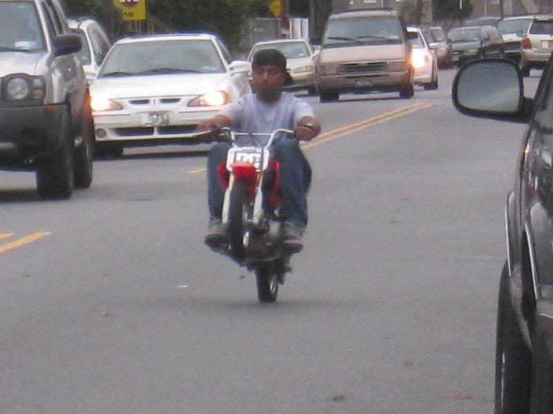 Name: CRF50018.jpg
Views: 21
Size: 51.5 KB