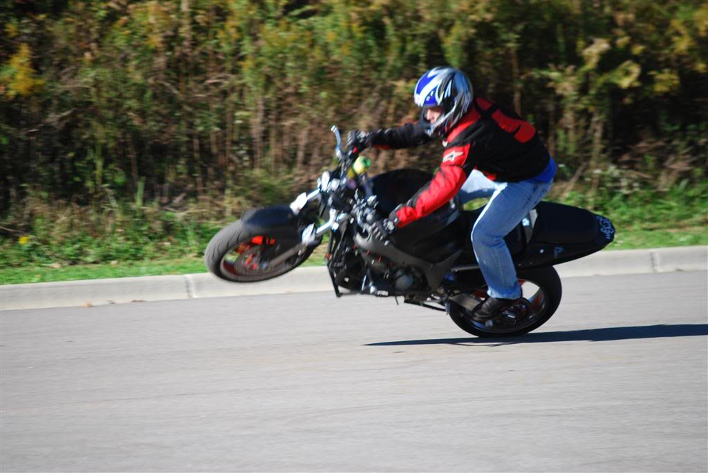 Name:  DSC_0077Large.jpg
Views: 10
Size:  111.6 KB