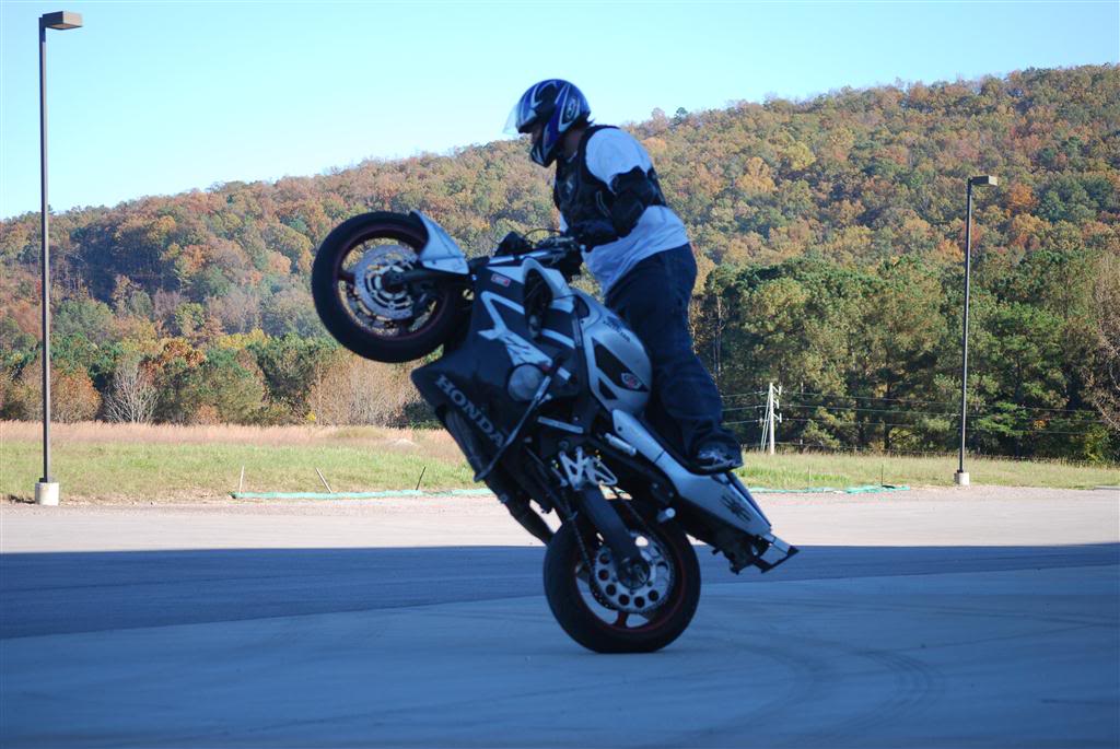Name:  DSC_0107Large.jpg
Views: 10
Size:  132.5 KB