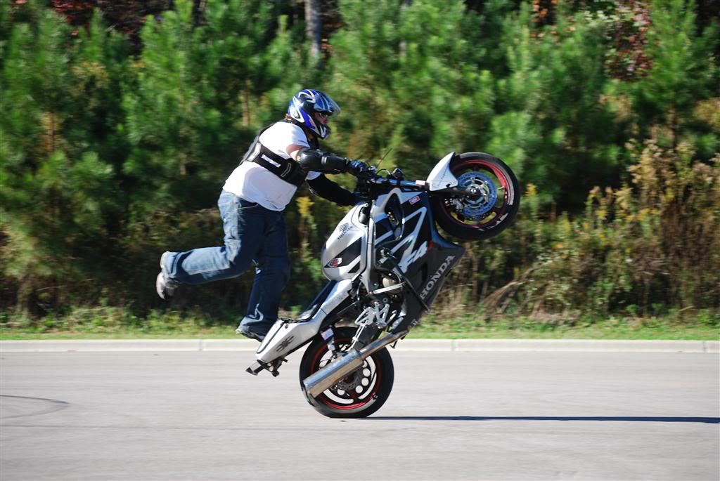 Name:  DSC_0053Large.jpg
Views: 9
Size:  133.4 KB