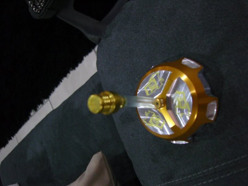 Name:  SNC16284.jpg
Views: 11
Size:  46.5 KB