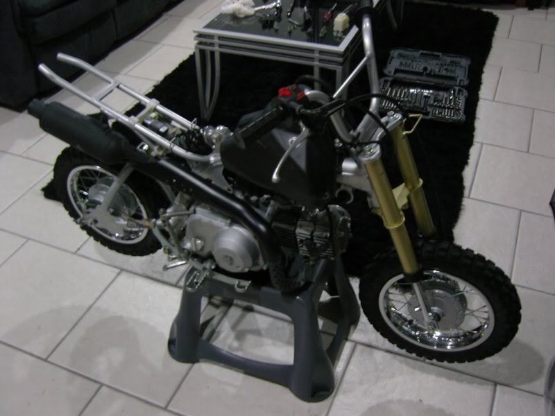 Name:  SNC16082.jpg
Views: 89
Size:  64.7 KB