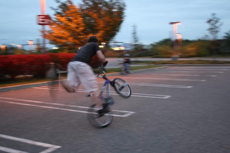 Name:  IMG_5456.jpg
Views: 9
Size:  49.8 KB