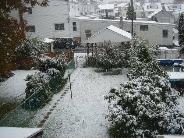 Name:  9226_1218257730942_1063834960_30803.jpg
Views: 9
Size:  83.4 KB