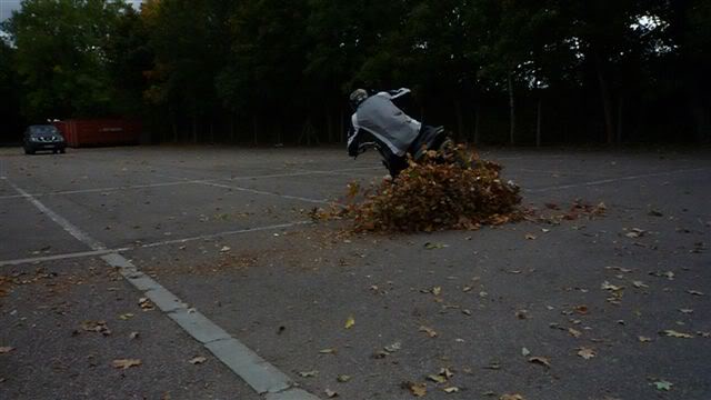 Name:  leafdrift.jpg
Views: 9
Size:  31.0 KB