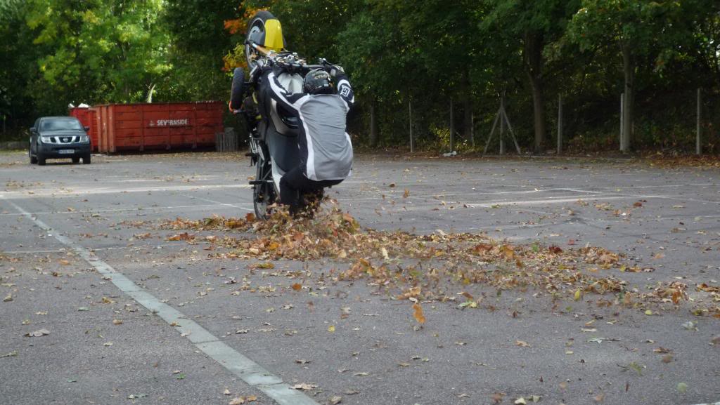 Name:  leaffootdragHD.jpg
Views: 7
Size:  108.7 KB