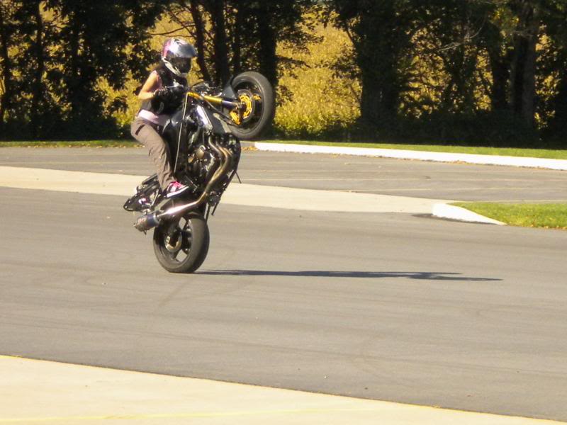 Name:  DSCN3595.jpg
Views: 14
Size:  67.9 KB