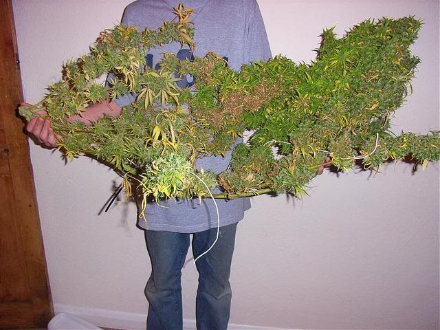 Name:  sideways.jpg
Views: 29
Size:  63.8 KB