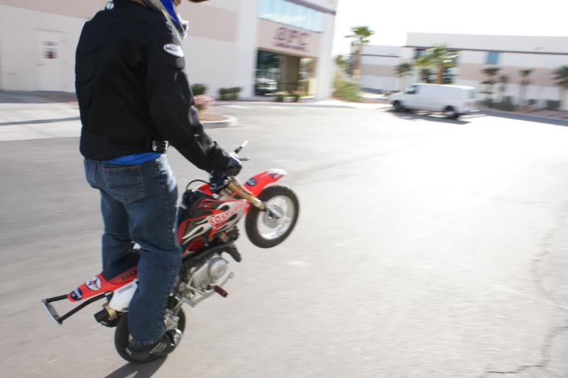 Name:  stunt03-29-08076.jpg
Views: 159
Size:  62.0 KB