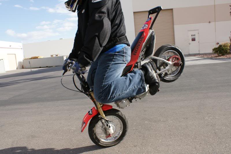 Name:  stunt03-29-08131.jpg
Views: 145
Size:  81.4 KB