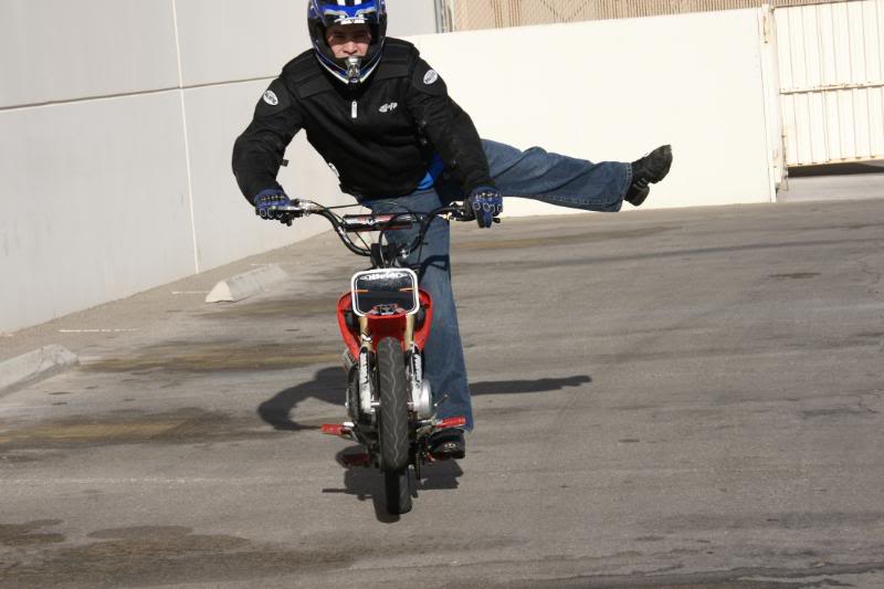 Name:  stunt03-29-08136.jpg
Views: 184
Size:  70.1 KB