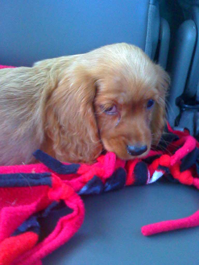 Name:  09-07-09_1006.jpg
Views: 47
Size:  46.1 KB