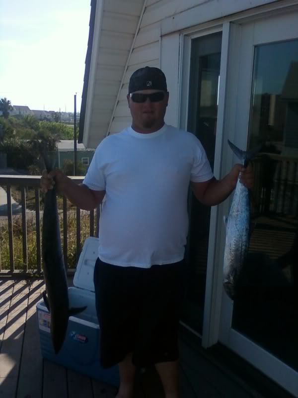 Name:  fishy003.jpg
Views: 9
Size:  47.1 KB