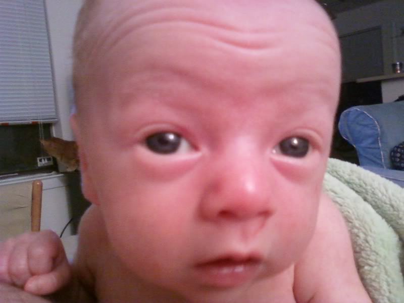 Name:  bigfish001.jpg
Views: 8
Size:  40.2 KB