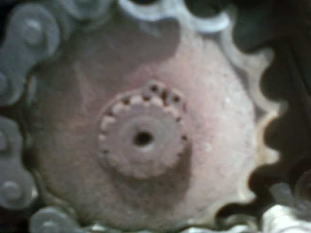 Name:  SSPX0535.jpg
Views: 13
Size:  19.6 KB