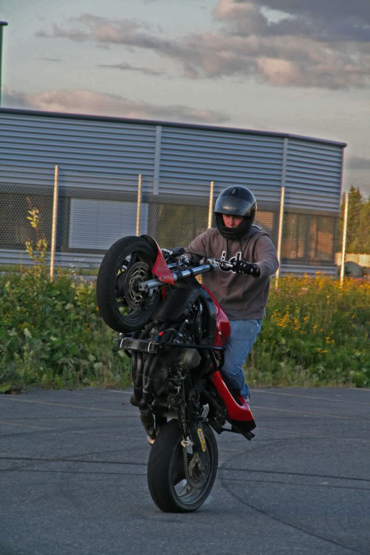 Name:  eirik_krogstad2.jpg
Views: 16
Size:  85.6 KB