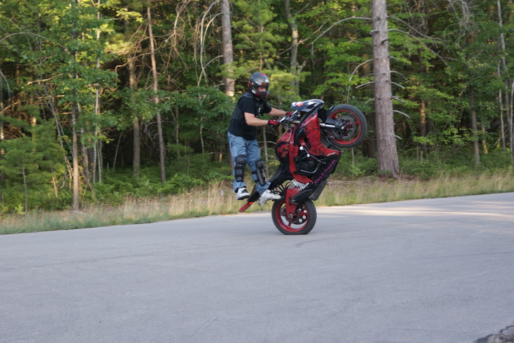 Name:  18954930.jpg
Views: 6
Size:  196.5 KB