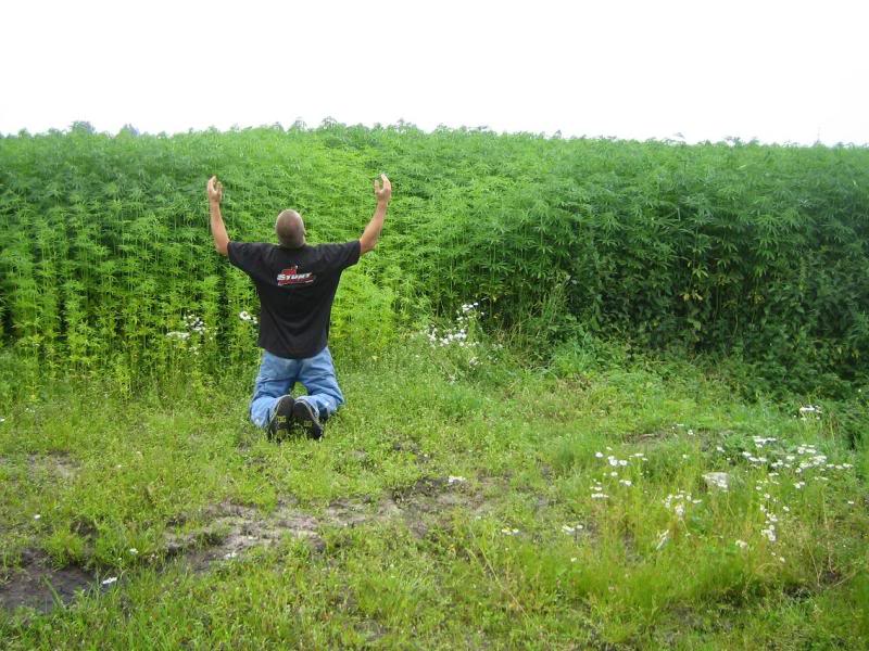 Name:  IMG_0116.jpg
Views: 13
Size:  104.1 KB