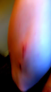 Name: 6-12-09001.jpg
Views: 12
Size: 8.3 KB