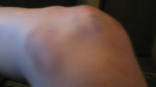 Name: 6-12-09004.jpg
Views: 12
Size: 7.2 KB