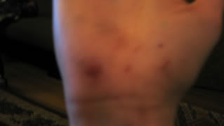 Name: 6-12-09002.jpg
Views: 9
Size: 7.8 KB