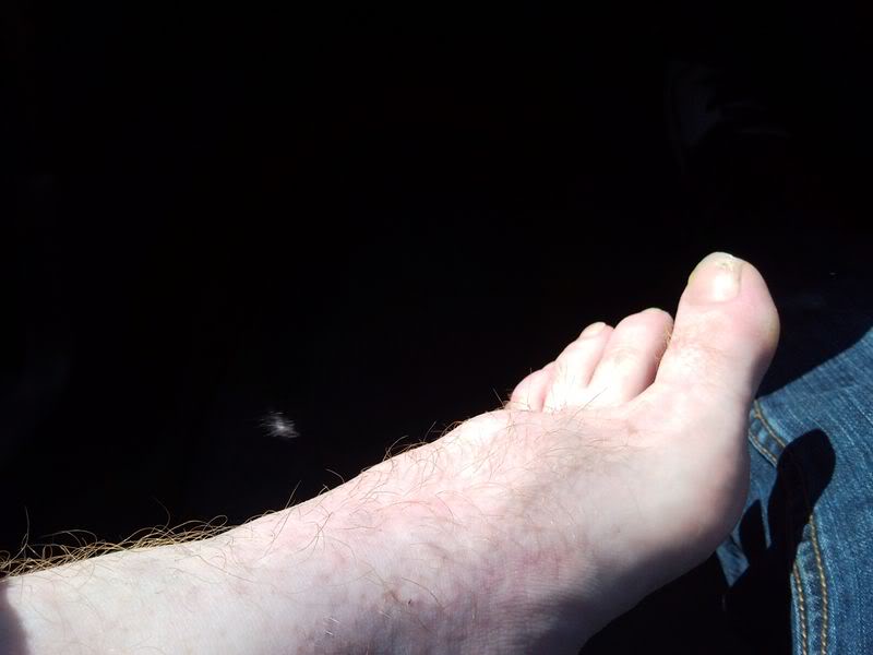 Name:  SNC00021.jpg
Views: 8
Size:  36.6 KB