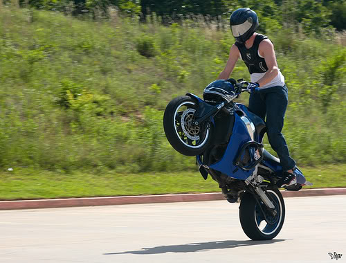 Name:  3593807505_9521997770.jpg
Views: 45
Size:  54.8 KB