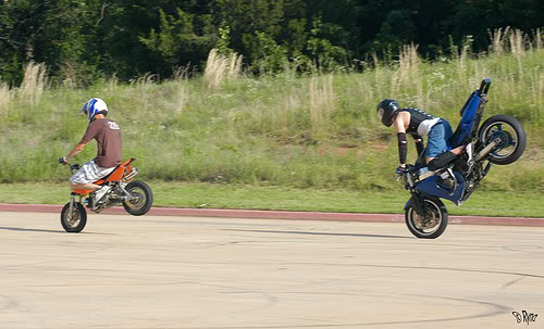 Name:  3615381913_c972f8097b.jpg
Views: 43
Size:  44.8 KB