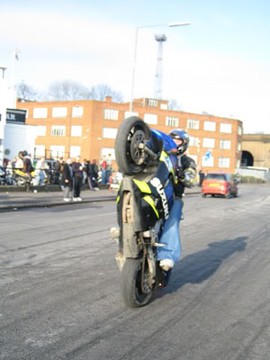 Name:  stunt14.jpg
Views: 17
Size:  27.7 KB