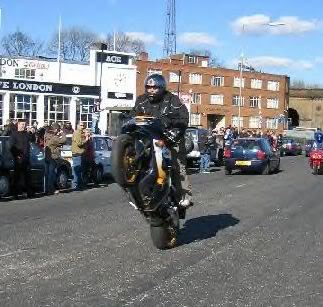 Name:  mungo1.jpg
Views: 14
Size:  28.1 KB