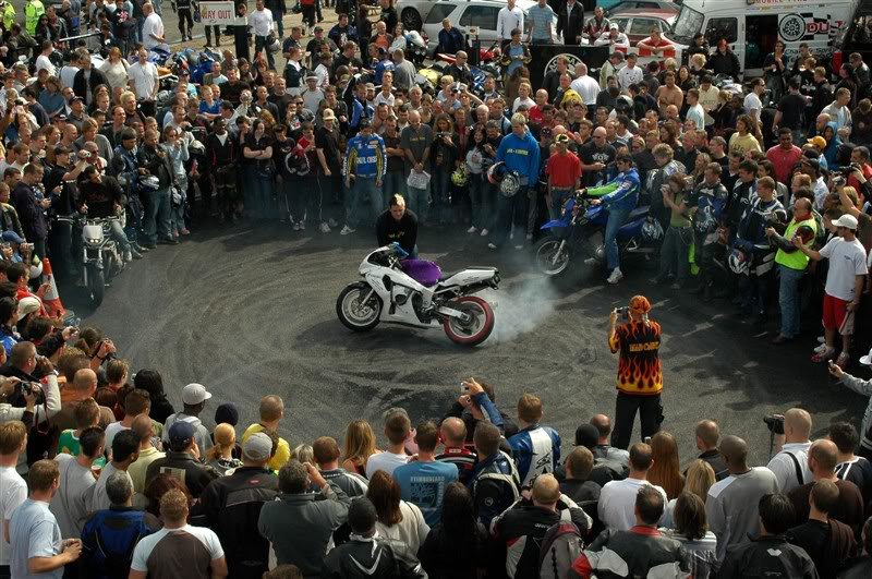 Name:  DSC_9348.jpg
Views: 9
Size:  130.8 KB