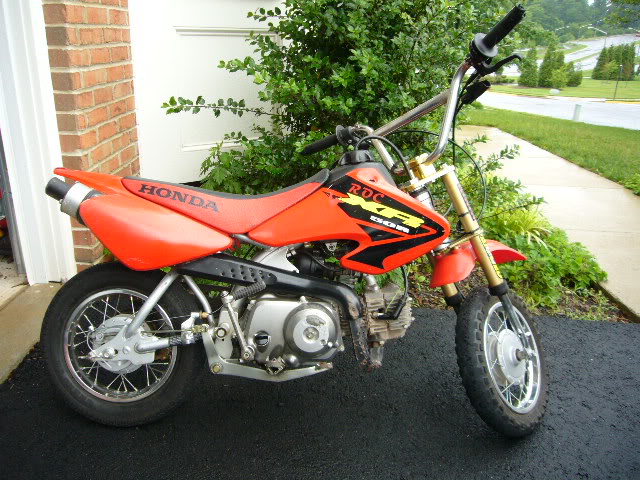 Name:  P1000336.jpg
Views: 209
Size:  102.2 KB