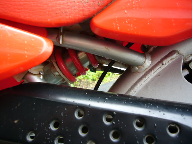 Name:  P1000339.jpg
Views: 175
Size:  51.4 KB