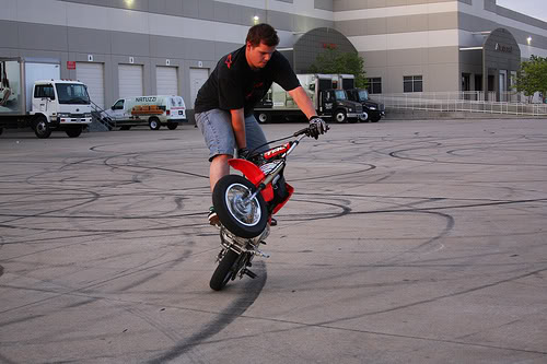 Name:  3594956870_5612594ca1.jpg
Views: 5
Size:  40.0 KB