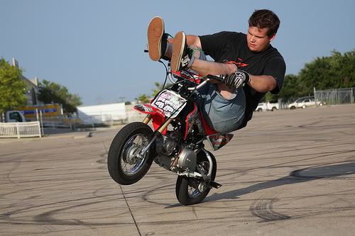 Name:  3594034887_eeb5cf395e.jpg
Views: 7
Size:  40.1 KB