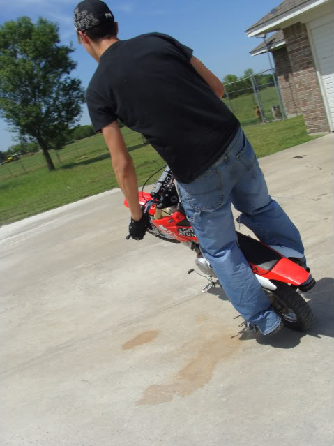 Name:  DSC03686.jpg
Views: 13
Size:  53.0 KB