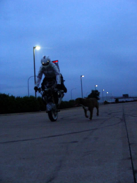 Name:  DSC03154.jpg
Views: 13
Size:  35.8 KB