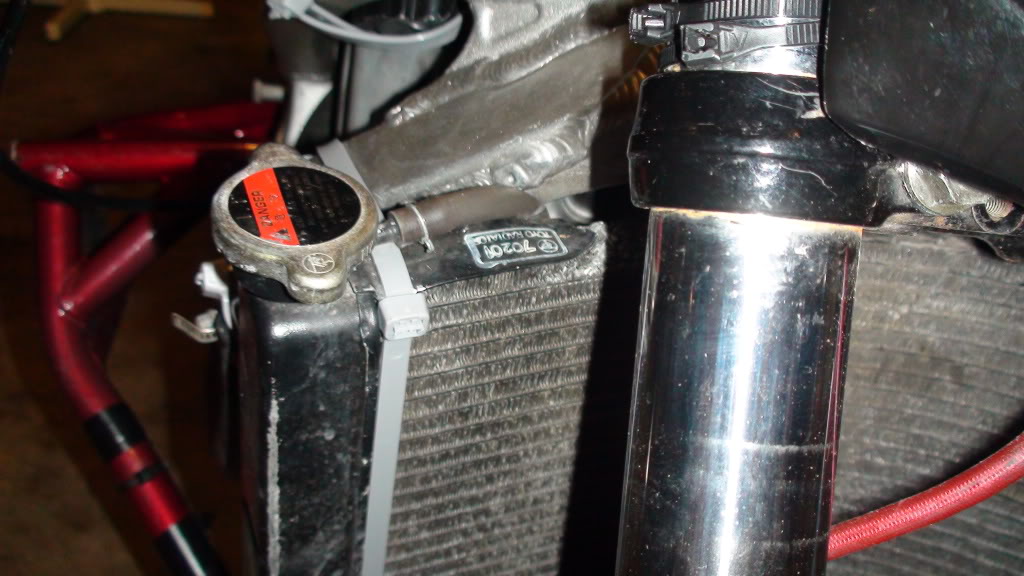 Name:  DSC00355.jpg
Views: 9
Size:  109.6 KB