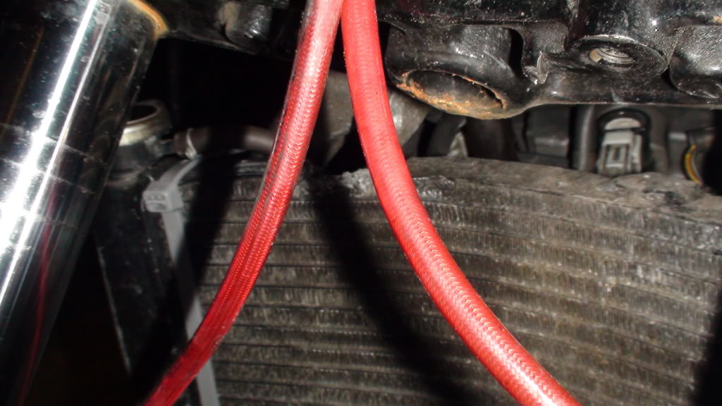 Name:  DSC00356.jpg
Views: 10
Size:  107.6 KB