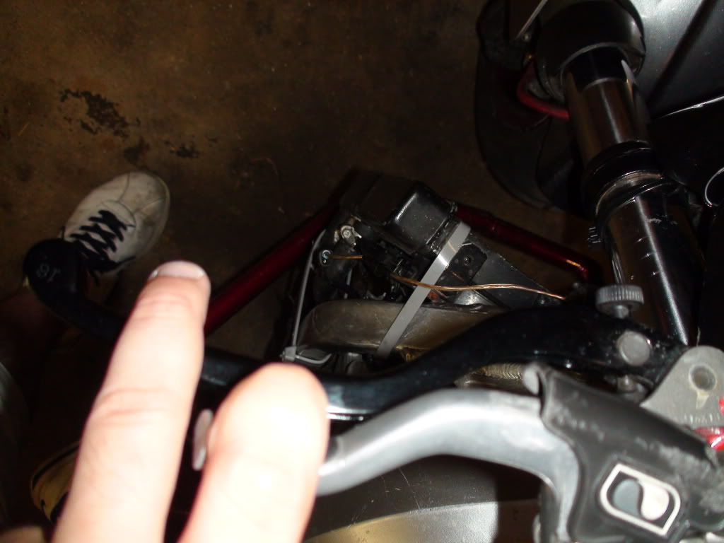 Name:  DSC00351.jpg
Views: 10
Size:  82.4 KB