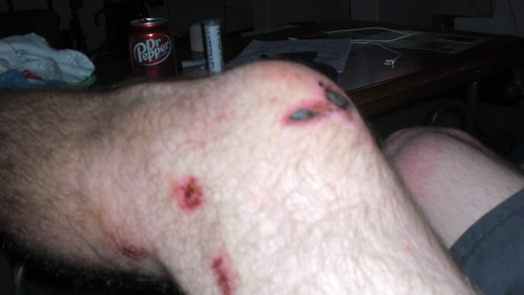 Name:  CIMG6548.jpg
Views: 6
Size:  69.4 KB
