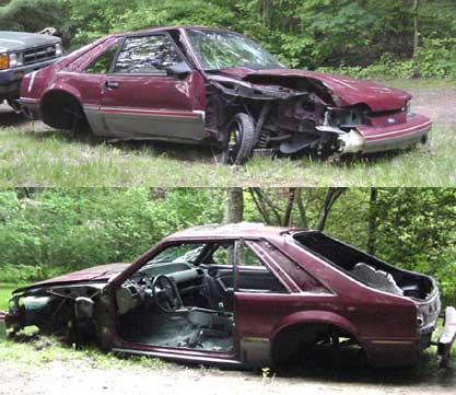 Name:  mustang.jpg
Views: 11
Size:  34.3 KB