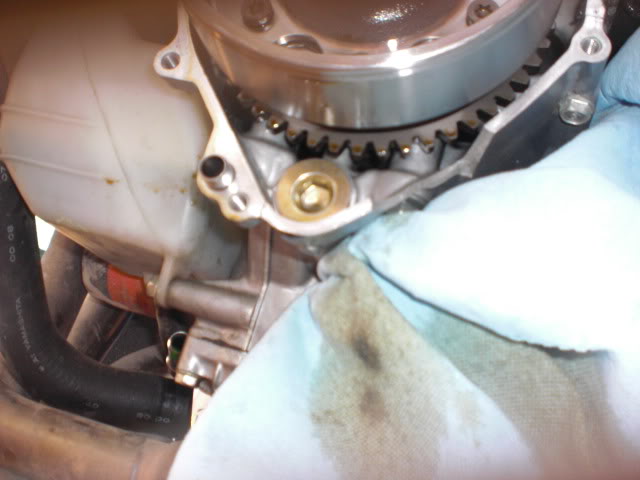 Name: CIMG1205.jpg
Views: 5
Size: 70.3 KB