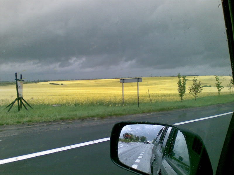 Name:  20090506001.jpg
Views: 10
Size:  57.2 KB