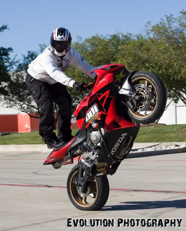 Name:  EvolutionPhoto.jpg
Views: 10
Size:  69.0 KB