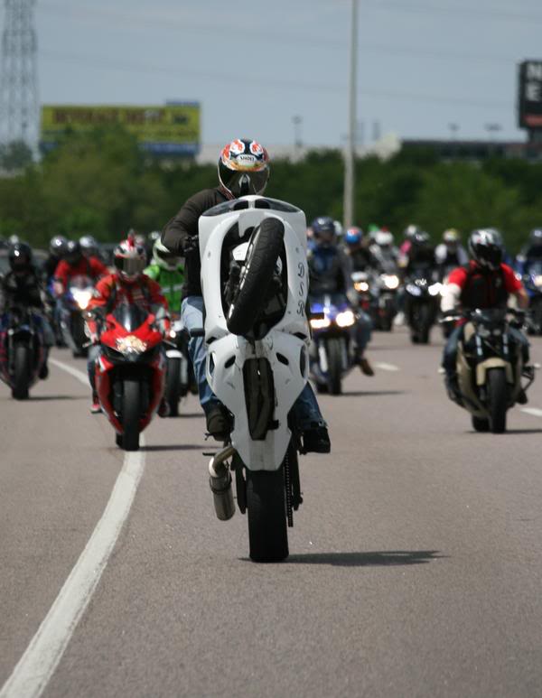 Name:  mr6-1.jpg
Views: 40
Size:  48.0 KB